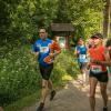 pferd-werkzeuge-lauf-06-2017 (330)