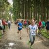 pferd-werkzeuge-lauf-06-2017 (660)