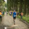 pferd-werkzeuge-lauf-06-2017 (619)