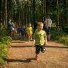 pferd-werkzeuge-lauf-06-2017 (27)