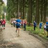 pferd-werkzeuge-lauf-06-2017 (692)