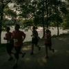 pferd-werkzeuge-lauf-06-2017 (515)