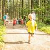 pferd-werkzeuge-lauf-06-2017 (36)
