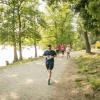 pferd-werkzeuge-lauf-06-2017 (510)