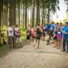 pferd-werkzeuge-lauf-06-2017 (572)