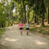 pferd-werkzeuge-lauf-06-2017 (412)