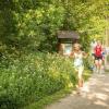 pferd-werkzeuge-lauf-06-2017 (295)