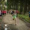 pferd-werkzeuge-lauf-06-2017 (686)
