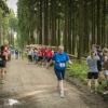pferd-werkzeuge-lauf-06-2017 (676)