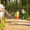 pferd-werkzeuge-lauf-06-2017 (13)