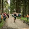 pferd-werkzeuge-lauf-06-2017 (599)
