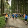 pferd-werkzeuge-lauf-06-2017 (629)