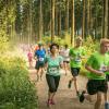 pferd-werkzeuge-lauf-06-2017 (369)