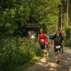 pferd-werkzeuge-lauf-06-2017 (270)