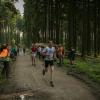 pferd-werkzeuge-lauf-06-2017 (635)