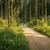 pferd-werkzeuge-lauf-06-2017 (344)