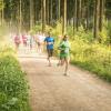pferd-werkzeuge-lauf-06-2017 (373)