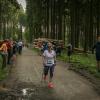 pferd-werkzeuge-lauf-06-2017 (640)