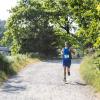 Pferd Lauf Komplett (230 von 644)