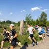 Pferd Lauf Komplett (216 von 644)