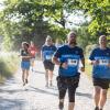 Pferd Lauf Komplett (356 von 644)