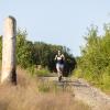 Pferd Lauf Komplett (573 von 644)
