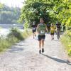 Pferd Lauf Komplett (328 von 644)