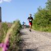 Pferd Lauf Komplett (482 von 644)