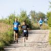 Pferd Lauf Komplett (449 von 644)