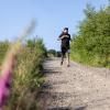 Pferd Lauf Komplett (485 von 644)