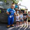 Pferd Lauf Komplett (30 von 644)