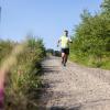 Pferd Lauf Komplett (500 von 644)