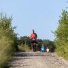 Pferd Lauf Komplett (480 von 644)