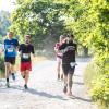 Pferd Lauf Komplett (260 von 644)