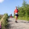 Pferd Lauf Komplett (481 von 644)