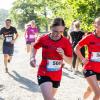 Pferd Lauf Komplett (332 von 644)