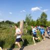 Pferd Lauf Komplett (217 von 644)