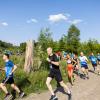 Pferd Lauf Komplett (220 von 644)