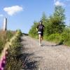Pferd Lauf Komplett (477 von 644)