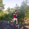 Pferd Lauf Komplett (490 von 644)