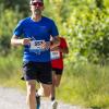 Pferd Lauf Komplett (378 von 644)