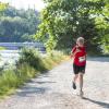 Pferd Lauf Komplett (375 von 644)