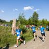 Pferd Lauf Komplett (223 von 644)