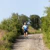 Pferd Lauf Komplett (459 von 644)