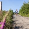 Pferd Lauf Komplett (483 von 644)