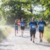 Pferd Lauf Komplett (355 von 644)
