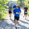Pferd Lauf Komplett (279 von 644)