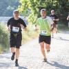 Pferd Lauf Komplett (268 von 644)