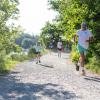 Pferd Lauf Komplett (308 von 644)