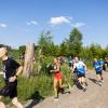 Pferd Lauf Komplett (221 von 644)